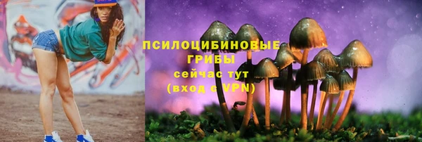 первитин Богородск