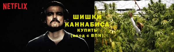 первитин Богородск