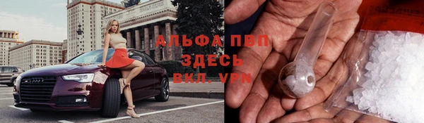 эйфоретик Балахна