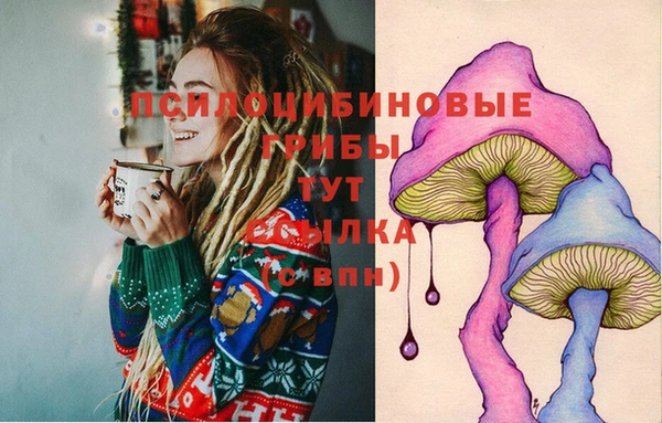 амф Сатка