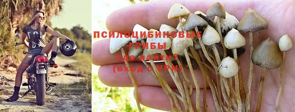героин Богородицк