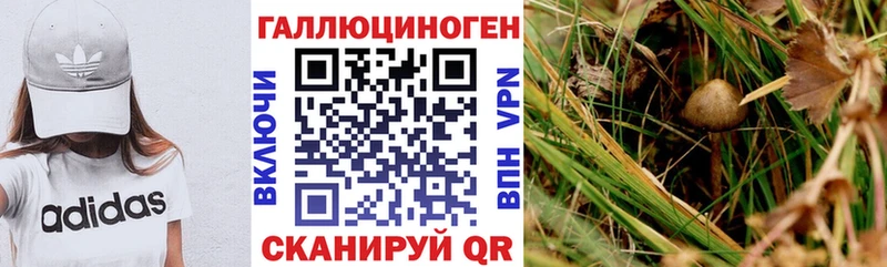 Галлюциногенные грибы Psilocybine cubensis  закладки  Бронницы 