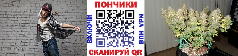 Бошки марихуана VHQ  Бронницы 